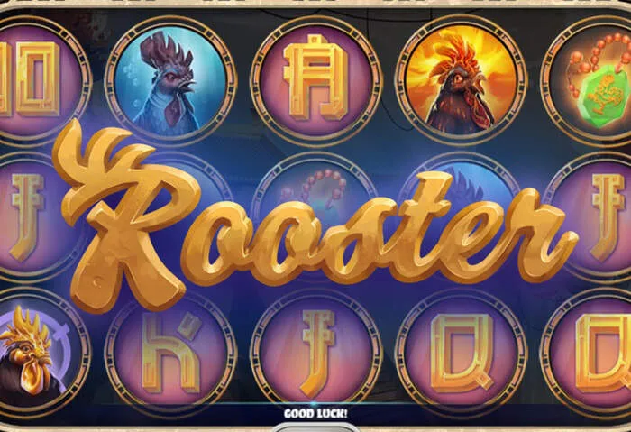 Joueurs gagnants Avis sur Golden Lady Casino 2026: Jeux, Bonus et Paiements célèbrent.